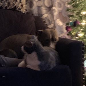 Meet your Posher, Esther